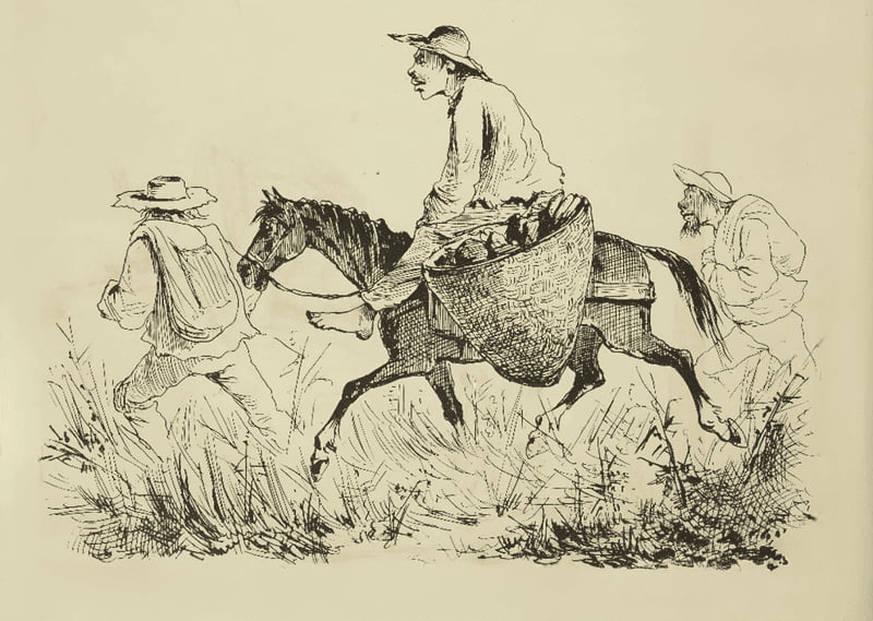 Persona a caballo con alimentos y dos acompañantes a pie, caricatura.